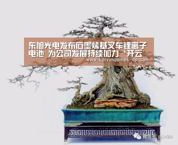 开云棋牌官网