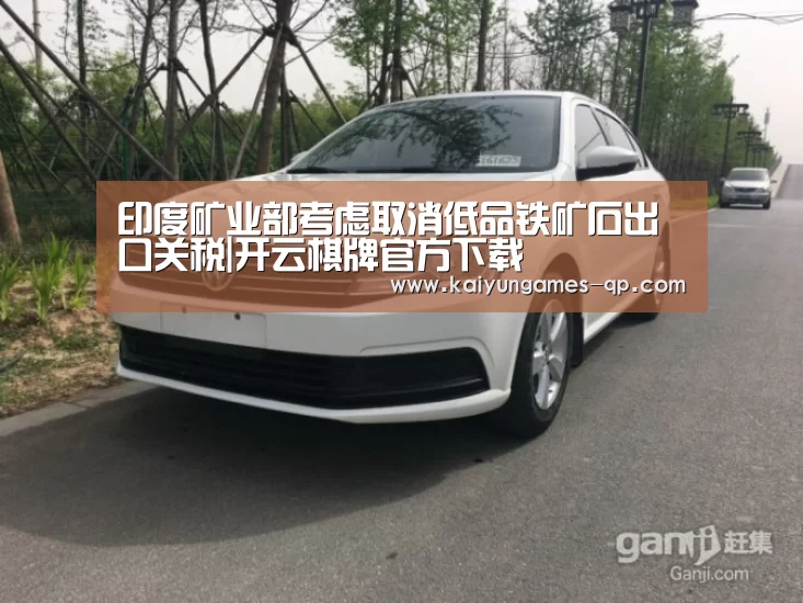 印度矿业部考虑取消低品铁矿石出口关税|开云棋牌官方下载(图4) 开云棋牌下载